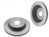 Bremsscheibe Brake Disc:10052201